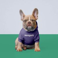 Avapet Avapet